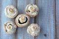 Flat lay of five common mushrooms