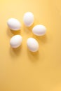 Flat lay five white eggs are lying in circle as flower on a yellow background. Royalty Free Stock Photo