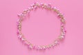 Flat lay of Flower crown ,floral wreath circle made from pink flowers isolated on pink background, top view.