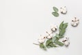 Flat lay flowers composition. Cotton flowers and fresh eucalyptus twigs on light gray background. Top view, copy space. Delicate