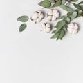 Flat lay flowers composition. Cotton flowers and fresh eucalyptus twigs on light gray background. Top view, copy space. Delicate