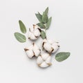 Flat lay flowers composition. Cotton flowers and fresh eucalyptus twigs on light gray background. Top view, copy space. Delicate