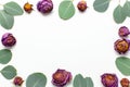 Flat lay flowers composition. Frame made of dried rose flowers and sprigs of eucalyptus on white background top view copy space. Royalty Free Stock Photo