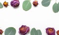 Flat lay flowers composition. Frame made of dried rose flowers and sprigs of eucalyptus on white background top view copy space. Royalty Free Stock Photo