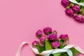 Flat lay flowers composition. Frame made of pink rose flowers and colorful holiday ribbons on pink background top view copy space