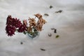 Flat lay of flowers on a glass jar Royalty Free Stock Photo