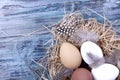 Flat lay. Four chicken eggs in lie in a nest of hay. Royalty Free Stock Photo