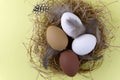 Flat lay. Four chicken eggs in lie in a nest of hay. Royalty Free Stock Photo