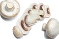 Flat lay with fresh champignons button mushrooms. Neatly arranged in a row of fungus slices. Isolated on white Royalty Free Stock Photo