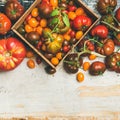 Flat -lay of fresh colorful ripe tomatoes, square crop Royalty Free Stock Photo