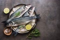 Flat lay fresh fish sea bass in a plate with ice cubes, rosemary and lime on a dark rustic background. Top view, copy space Royalty Free Stock Photo