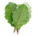 Flat lay fresh kale leaves in heart shape isolated on white background. Top view love healthy organic food Royalty Free Stock Photo