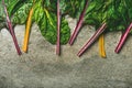 Flat-lay of fresh leaves of swiss chard over concrete background Royalty Free Stock Photo