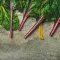 Flat-lay of fresh leaves of swiss chard, square crop Royalty Free Stock Photo