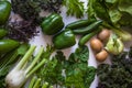 Flat lay of fresh picked organic green vegetables herbs salad green and fruits variety