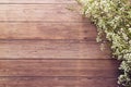 Flat lay of garden spring white tiny flowers on wooden plank table background with copy space, retro color style.