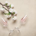 Flat lay glasses of rose wine and blossom cherry branch artificial on a beige concrete background. Beautiful spring background.
