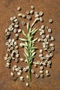 Flat lay  of  green  bean coffee with  oats as milk replacer on rustic iron Royalty Free Stock Photo