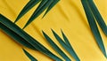 Flat lay green palm leaves over yellow background.