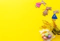 Flat lay greeting Easter card on yellow background with place for text. Bunnies and dyed bright eggs lie on white feathers, mimosa Royalty Free Stock Photo