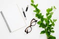 Flat lay home office desk. Female workspace with blank paper notebook, pen, glasses and banch of barberry. Top view feminine