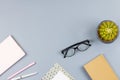 Flat lay home office desk. Female workspace with note book, eyeglasses, tea mug, diary, plant. Copy space Royalty Free Stock Photo