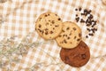 Flat lay of homemade sweets, Chocolate chip cookies and brownie cookie on brown gingham cloth