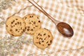 Flat lay of homemade sweets, Chocolate chip cookies and spoon on brown gingham cloth