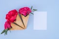 Flat lay Ice Cream Cones with pink peony and roses and white clear blank on blue background Royalty Free Stock Photo