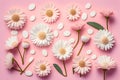 Flat lay Illustration concept white daisy flower, pastel pink background, 3D beautiful flowers are blooming, Valentineâ¬â¢s Royalty Free Stock Photo