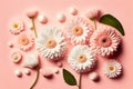 Flat lay Illustration concept white daisy flower, pastel pink background, 3D beautiful flowers are blooming, Valentineâ¬â¢s Royalty Free Stock Photo