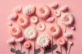 Flat lay Illustration concept white daisy flower, pastel pink background, 3D beautiful flowers are blooming, ValentineÃ¢â¬â¢s Royalty Free Stock Photo