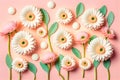 Flat lay Illustration concept white daisy flower, pastel pink background, 3D beautiful flowers are blooming, ValentineÃ¢â¬â¢s Royalty Free Stock Photo