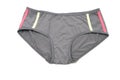 Gray Panties isolated on white background Royalty Free Stock Photo