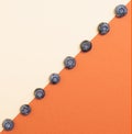 Flat lay lined arrangement of blueberries fruit against diagonal of dark orange and champagne backgrounds