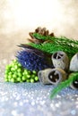 Flat lay macro dry branch eucalyptus fruit, seeds, blue eryngium planum flower, cone, christmas tree on white defocused bokeh Royalty Free Stock Photo