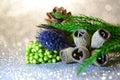 Flat lay macro dry branch eucalyptus fruit, seeds, blue eryngium planum flower, cone, christmas tree on white defocused bokeh Royalty Free Stock Photo