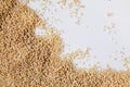 Flat lay macro natural dried amaranth seeds, top view