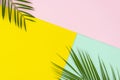 Flat lay made of tropical palm leaves lying on corners on colorful pink, mint and yellow multicolor pop background