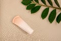 Beige tube of make up foundation with green leaf of home plant on beige colored water background Royalty Free Stock Photo