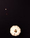 Flat lay of mini decorative white pumpkin and stars on black background from above . Halloween and Thanksgiving greeting card Royalty Free Stock Photo