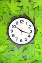 Flat lay of a modern black and white wall clock on green Japanese maple leaves Royalty Free Stock Photo