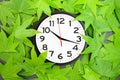 Flat lay of a modern black and white wall clock on green Japanese maple leaves, time for change Royalty Free Stock Photo