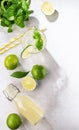 Flat-lay of mojito cocktail with lime, fresh mint and ice, bottle with mojito on white texture background with shadows. Summer Royalty Free Stock Photo