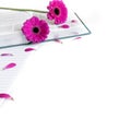 Flat lay: notebook, Bible and pink, purple, violette, red Gerbera flower with petals