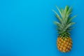 Flat lay object the fresh pineapple on modern rustic blue paper wallpaper. Royalty Free Stock Photo