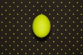 Flat lay of one green colored egg on dark polka background