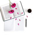 Flat lay: open Bible, black pen, journal, notes and pink, purple, violette, red Gerbera flower with petals Royalty Free Stock Photo