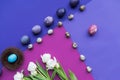 flat lay with painted eggs with nest and spring flowers Royalty Free Stock Photo