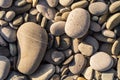Flat lay of pebbles pattern on the sea shore Royalty Free Stock Photo